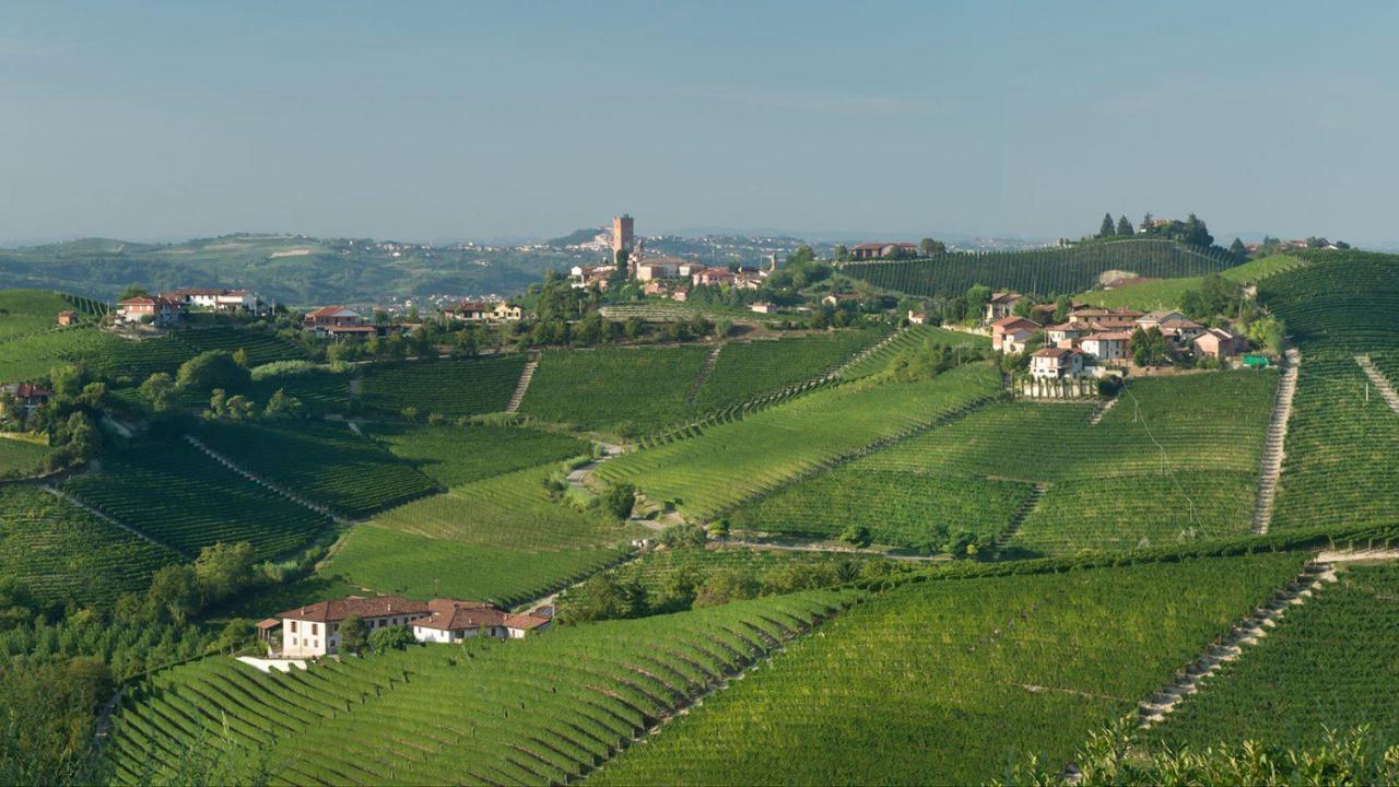 Agriturismo Tre Stelle Barbaresco Bagian luar foto