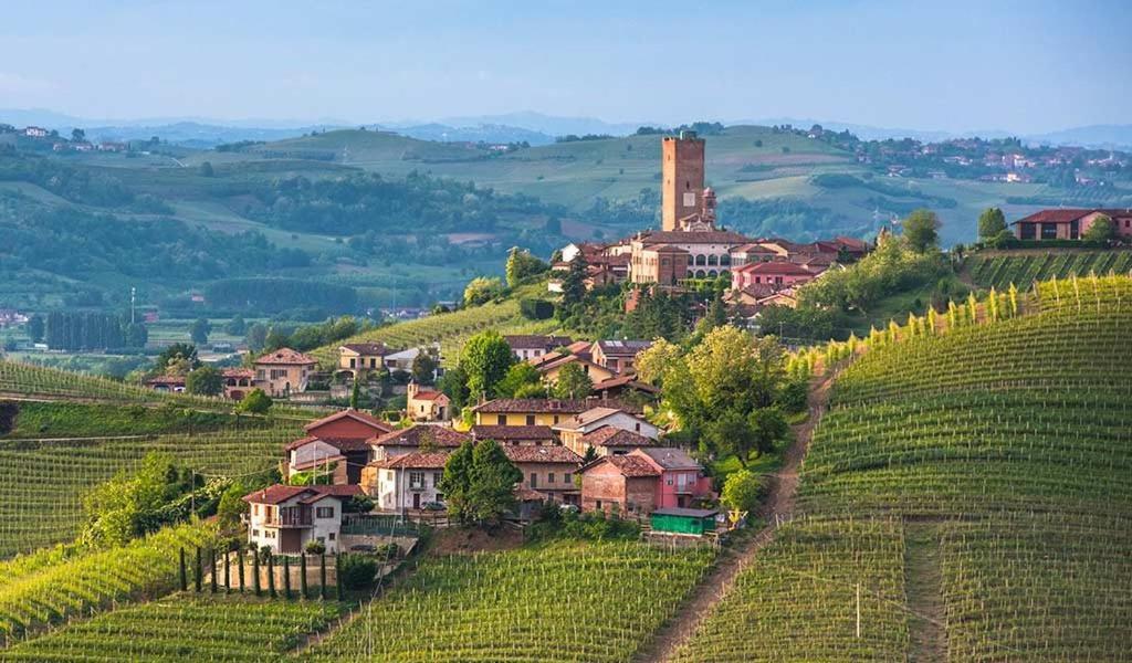 Agriturismo Tre Stelle Barbaresco Bagian luar foto